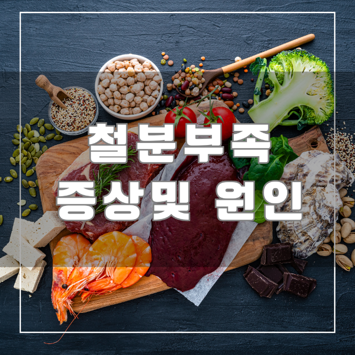 철분부족 증상 및 원인