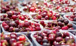 화성시 온누리 상품권 사용처 확인하기 관련 시간