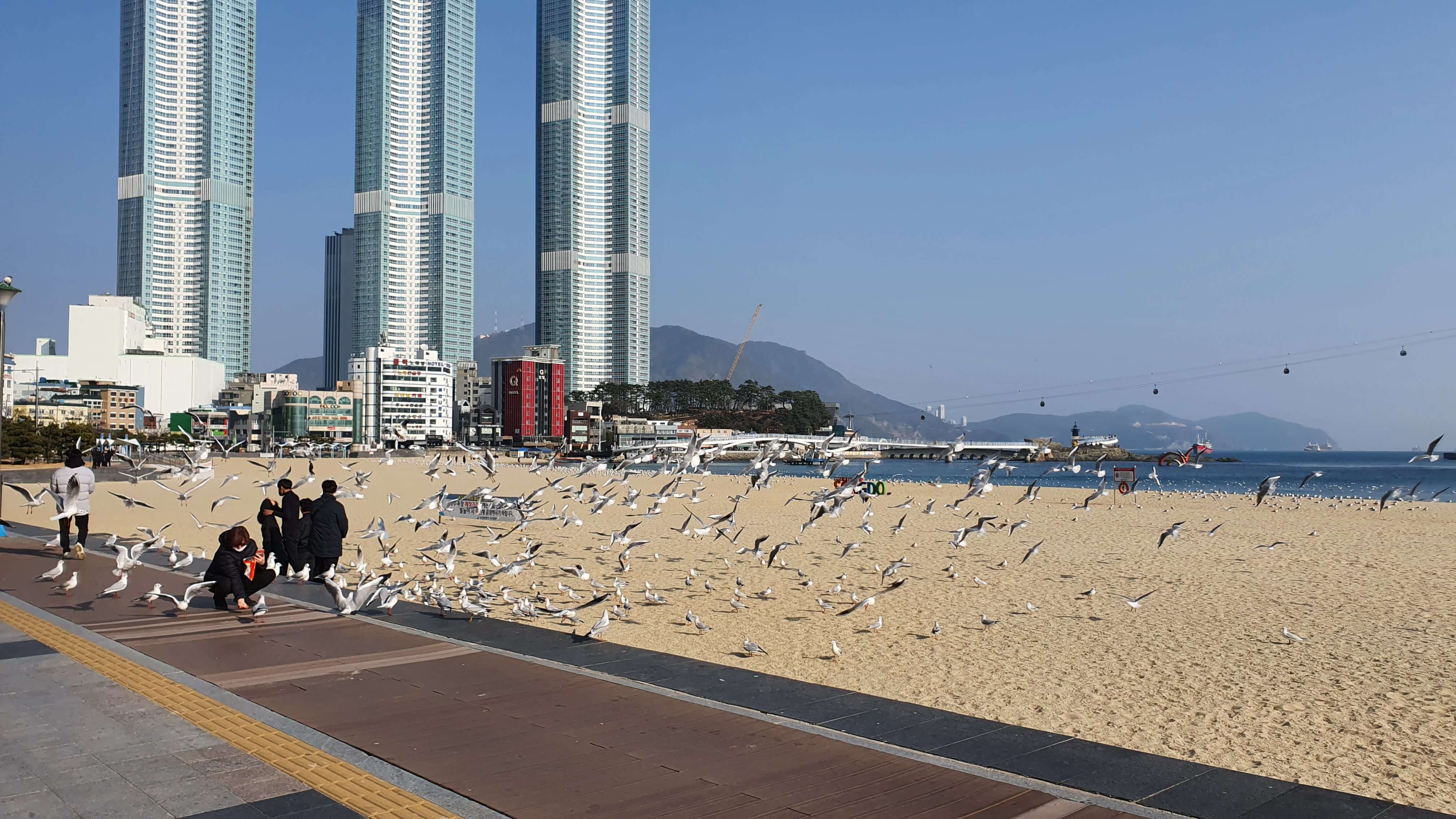 부산 여행지 추천 TOP 10-송도 해수욕장