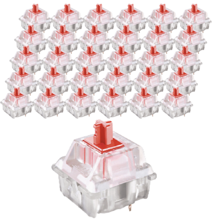 체리 적축 스위치