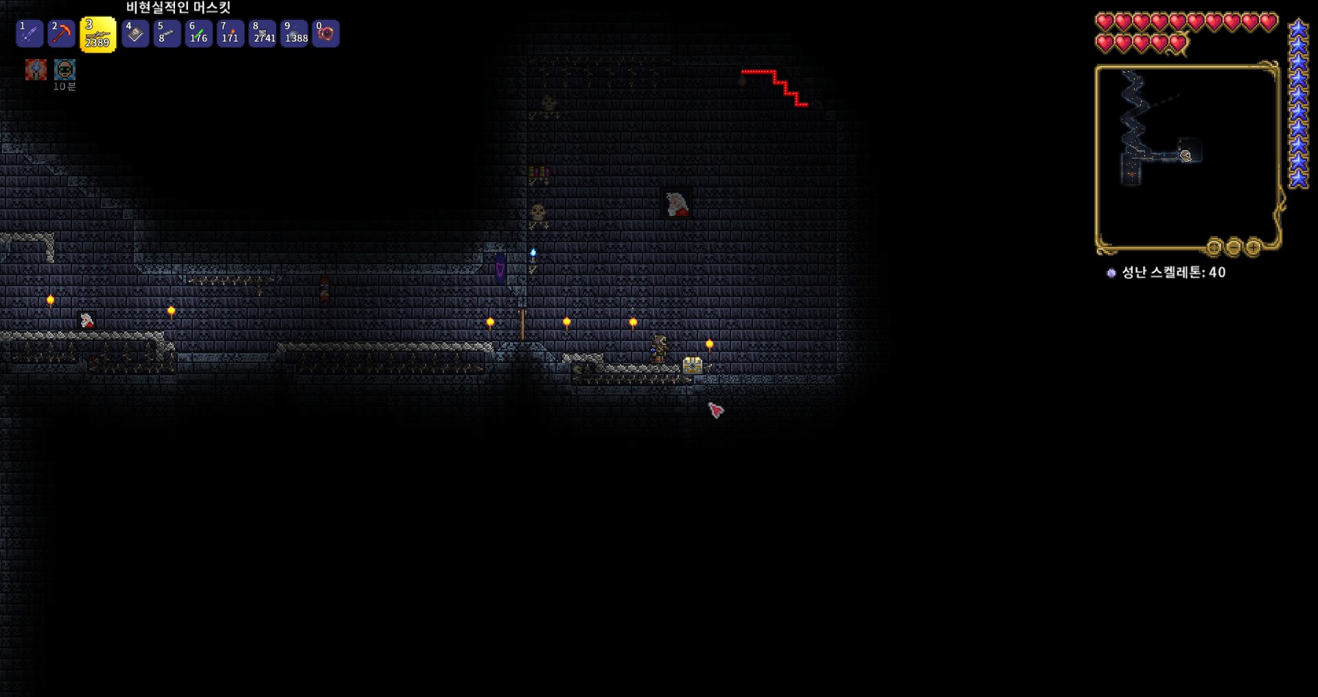 테라리아 황금 상자