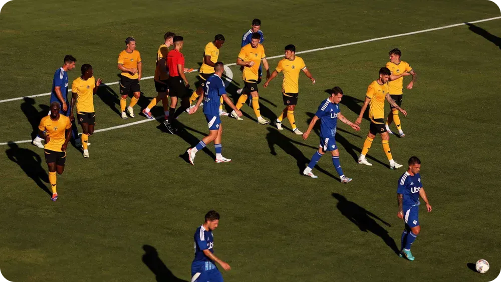 황희찬 인종차별