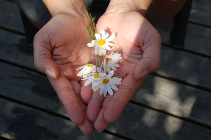 고향사랑기부제