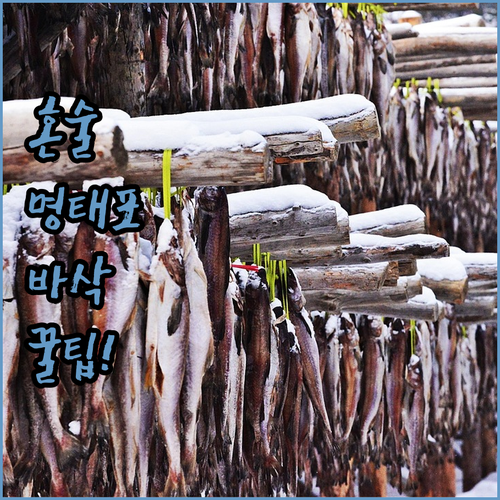 혼술 안주 추천하는 냉동 명태포 슬라..