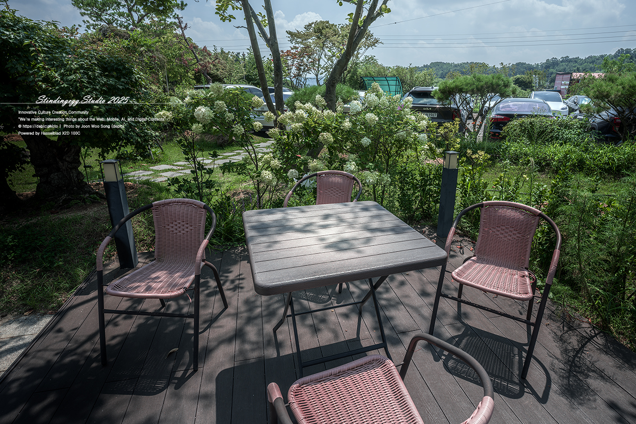 #증평 #카페 #미몽