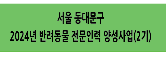 Alt 속성 문제 해결 설명 이미지