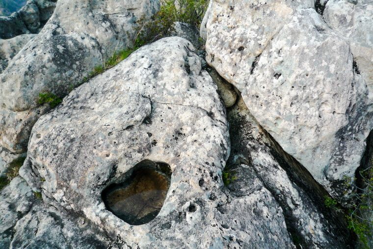 마늘로드 한국 명산 강원 삼척 명산 쉰움산 등산 mountain hiking