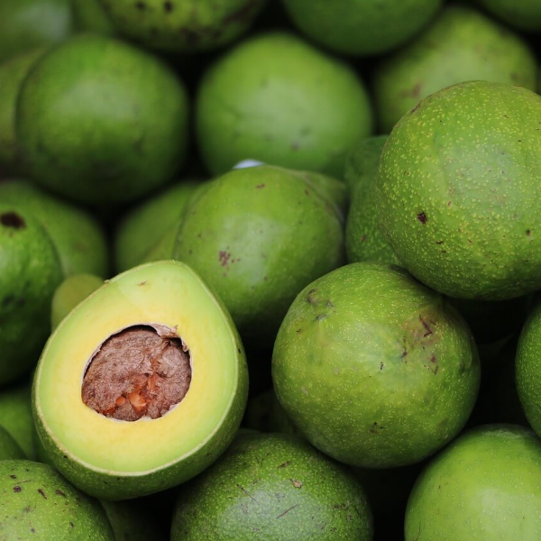 염증에 좋은 음식 사진 8