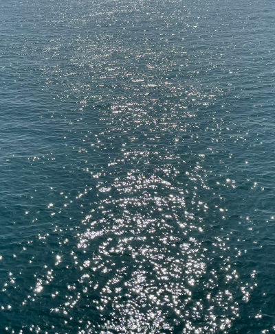 부산 해운대 블루라인파크 해변열차
