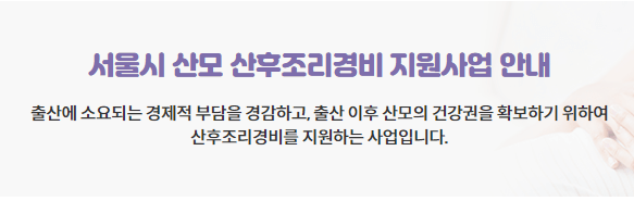 서울시 산모 산후조리경비 지원금