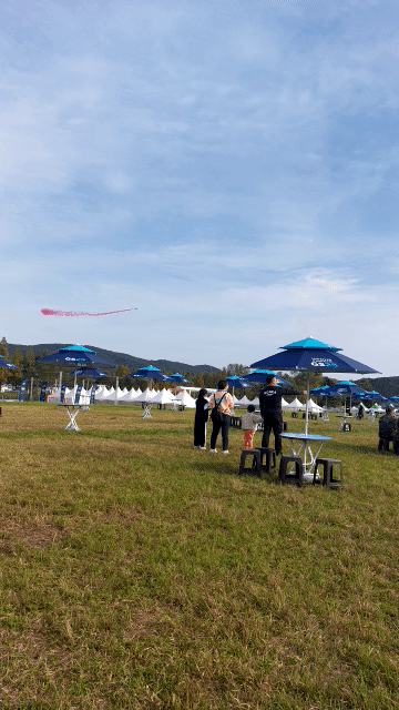 블랙이글스 에어쇼