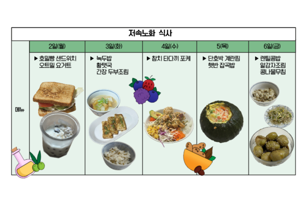 저속노화 1탄. 노화를 늦추는 생활 습관 7가지