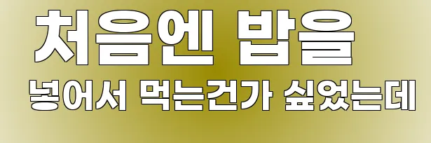  처음엔 밥을 넣어서 먹는건가 싶었는데