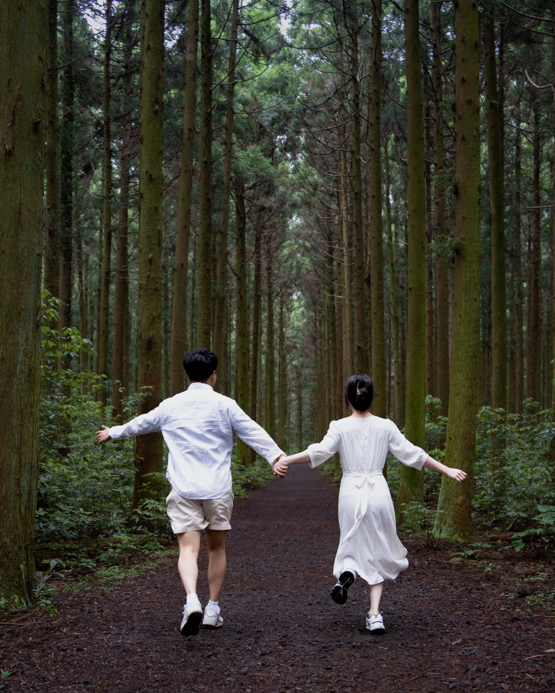 이승악 오름 삼나무 포토존