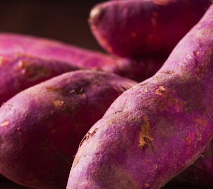 고구마 효능 - 비타민 A