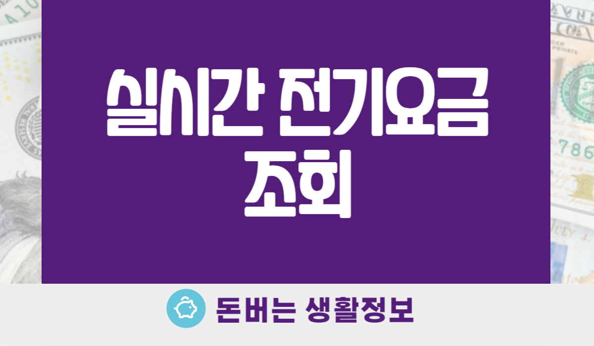 실시간 전기요금 조회