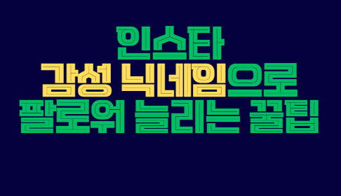 인스타