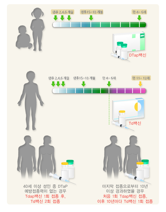백일해 예빙접종
