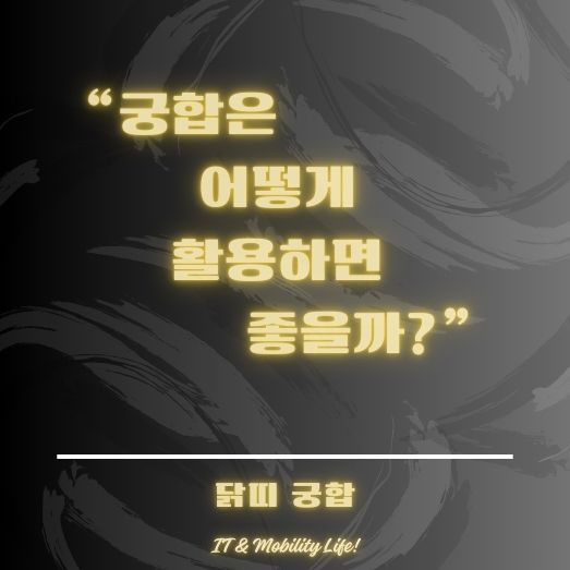 닭띠 궁합