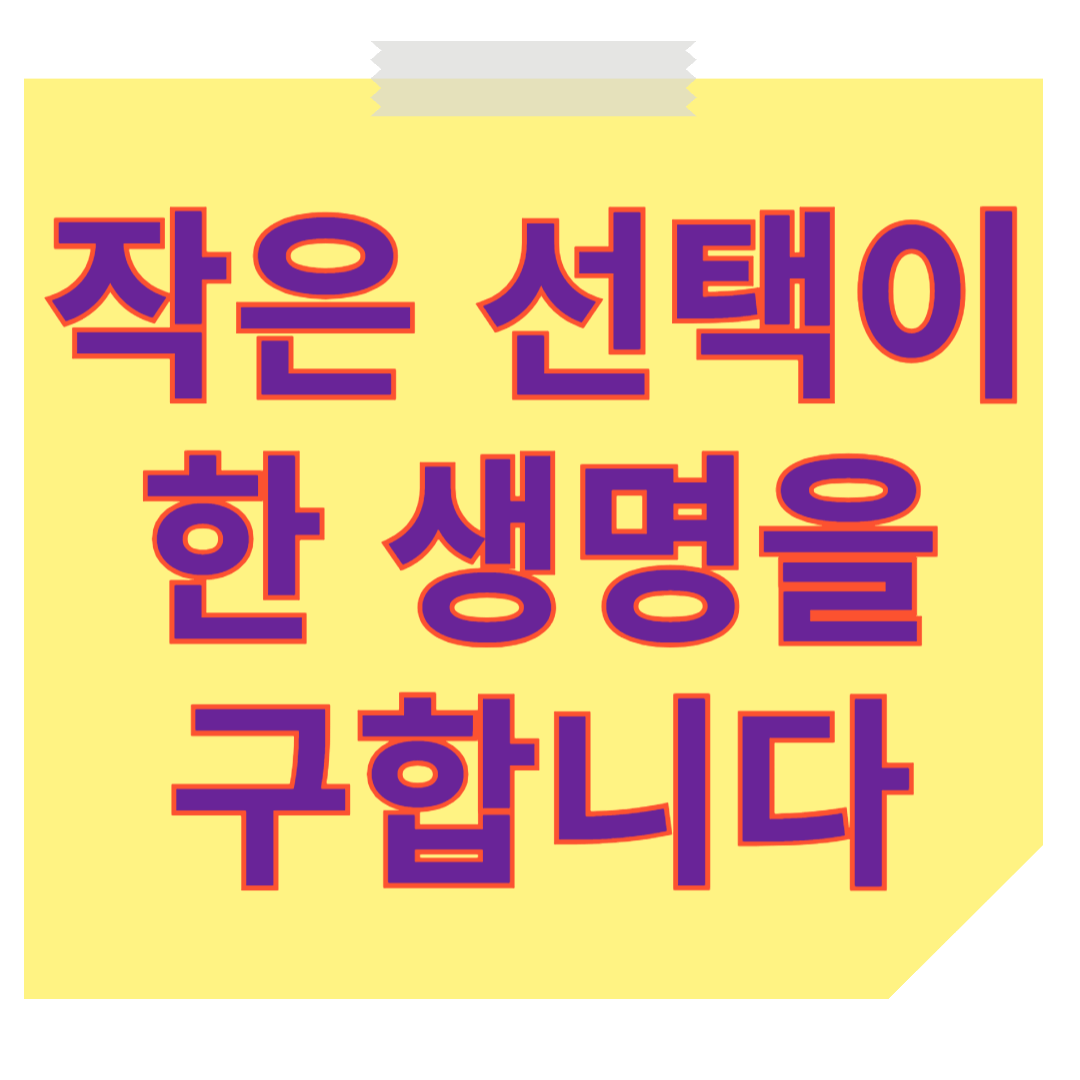 강아지 보험 비교 가이드, 가입 전 보호자의 체크포인트