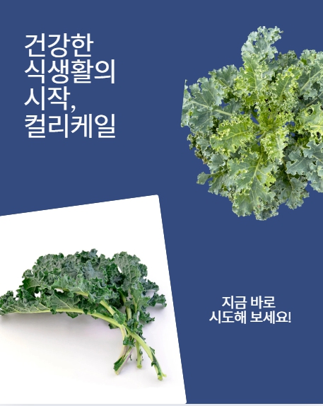 컬리케일 효능&amp;#44; 건강한 중년을 위한 슈퍼푸드