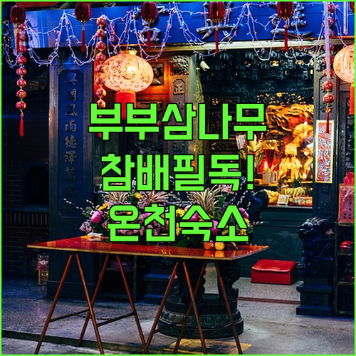 미야자키 부부 삼나무 참배 예절 및 ..