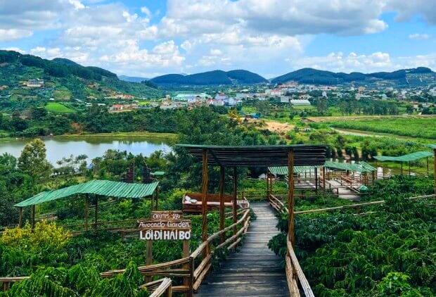 달랏 메린커피농장