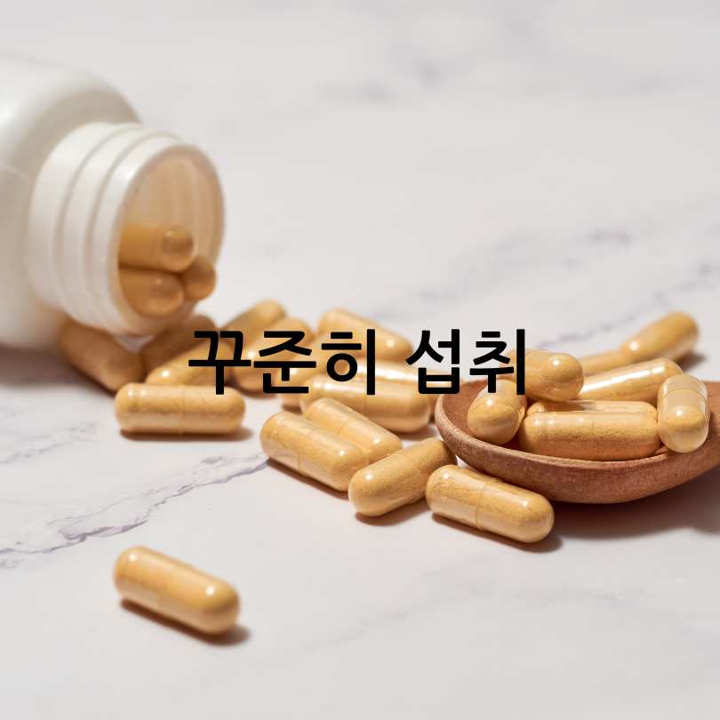 간유산균효능,복용법