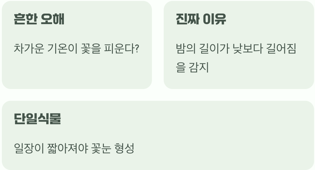 서늘한 바람은 신호일 뿐