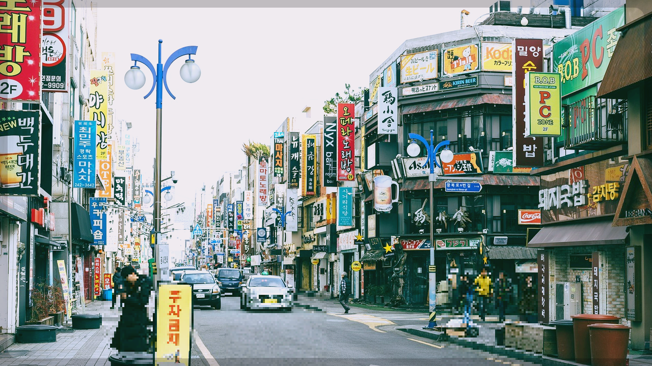 민생회복 소비쿠폰