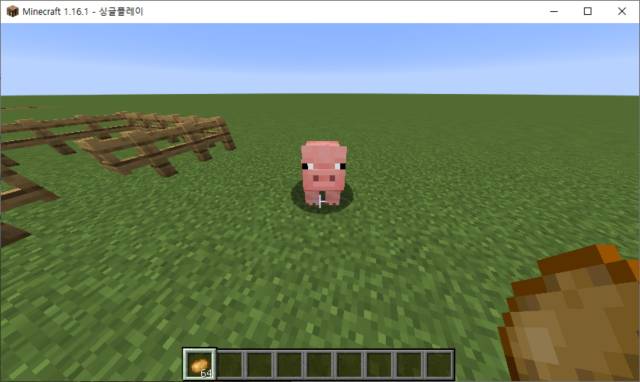 마크 돼지 사육방법