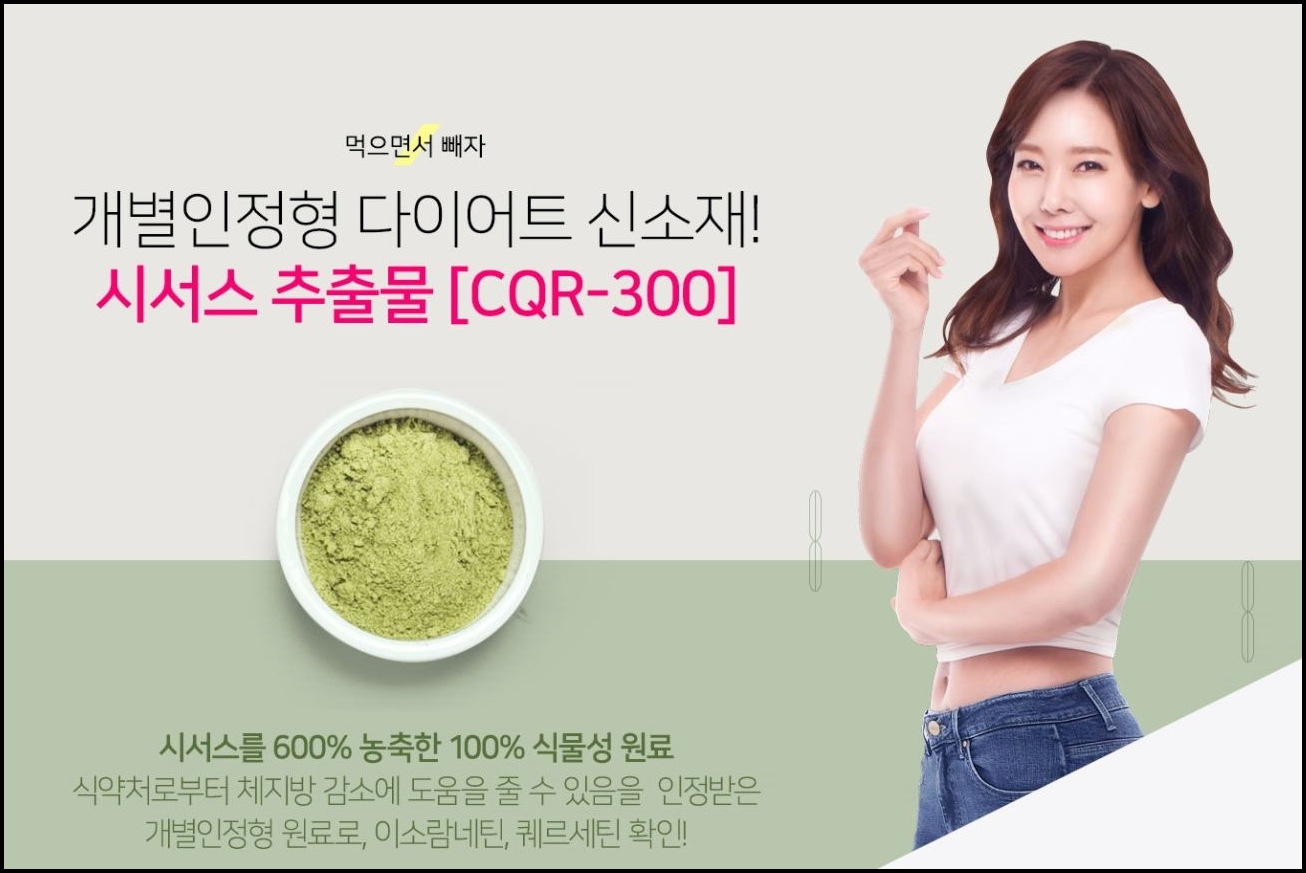 다이어트 보조제 추천 순위 BEST3