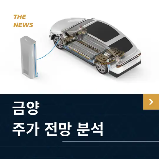 금양 주가 전망 및 분석