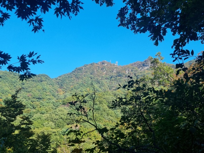 청계산-정상