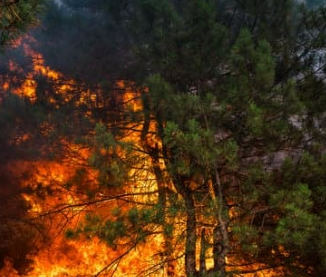 손해평가사 시험 일정 및 과목 2025