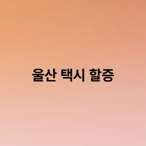 울산 택시 할증