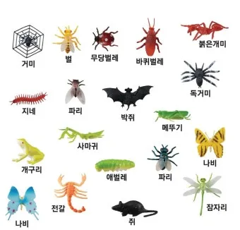 곤충과 동물의 차이점 생물 분류 기준과 이해 돕기_31