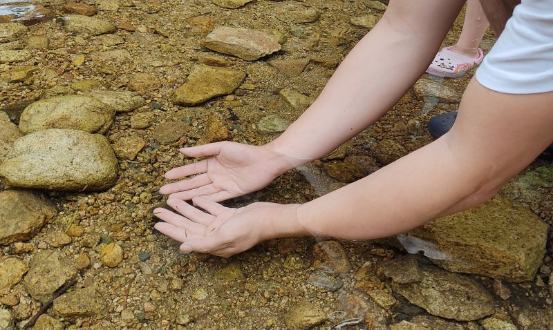 계곡 물속에 손을 담그고 있는모습 시간이 지나면 송사리가 손위로 왔다갔다 함