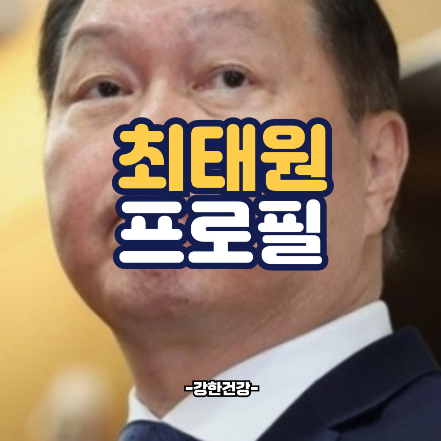 최태원 프로필