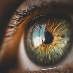 눈이미지예시02