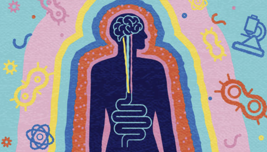 항생제 장기 사용에 따른 Microbiome–Metabolome 변화 분석