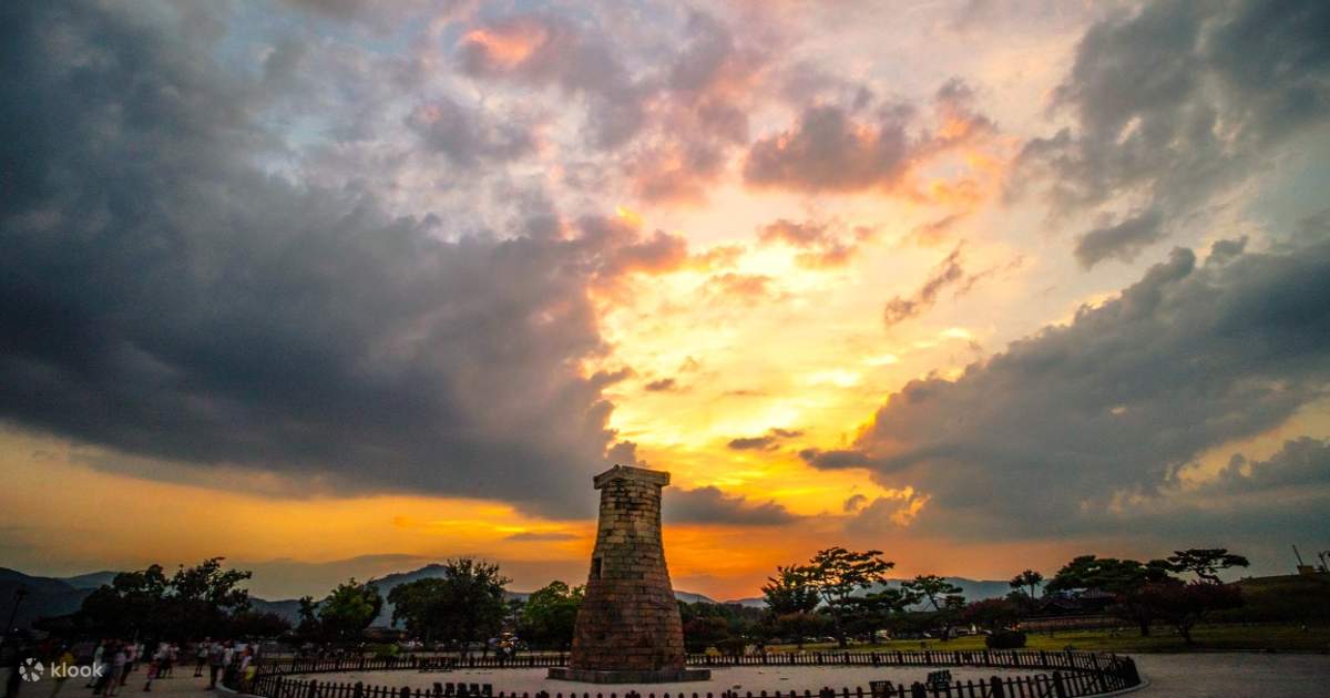 전국 벚꽃 만개 시기 확인하러 가기