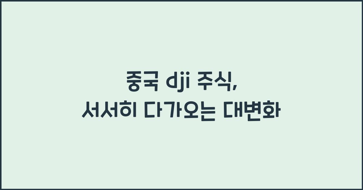 중국 dji 주식
