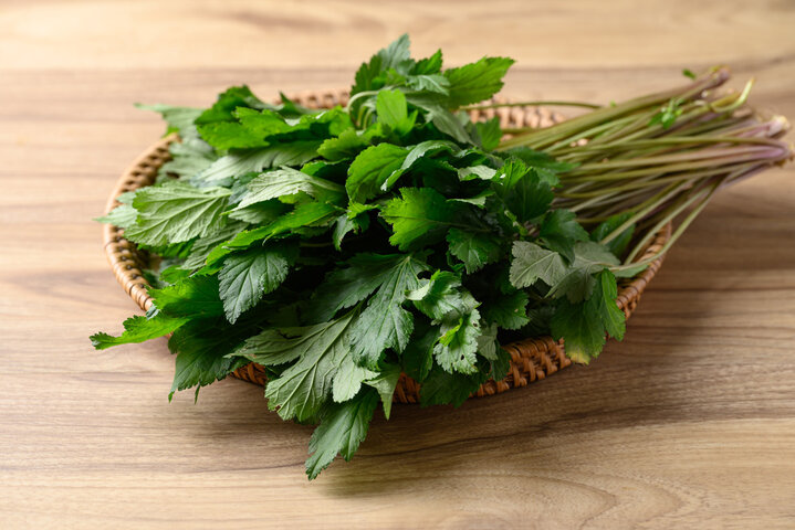 인진쑥 효능, 부작용 등 알아보기