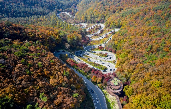 가을단풍드라이브