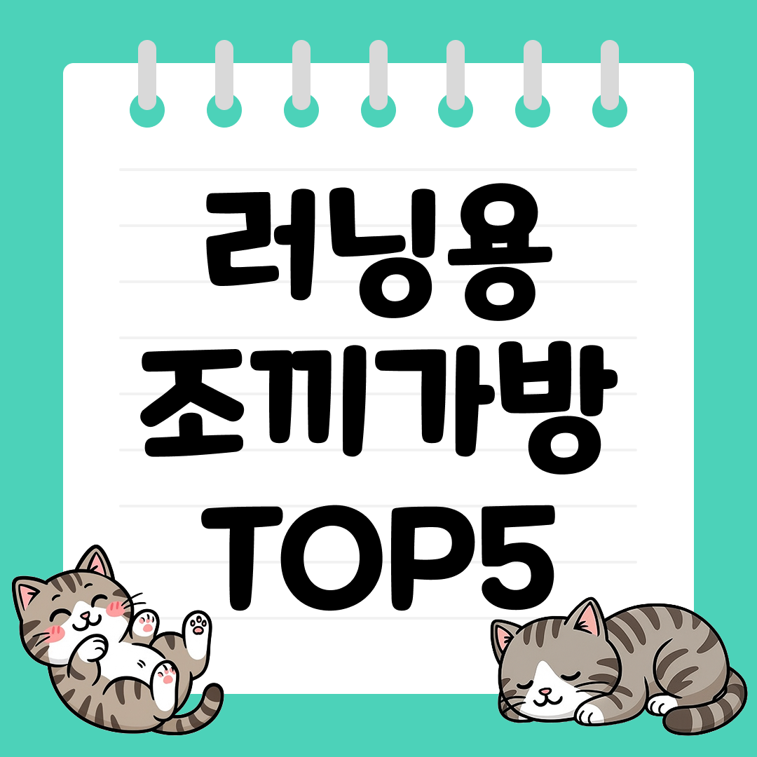 25년 9월 2주차 러닝용 조끼가방 추천 순위 TOP5