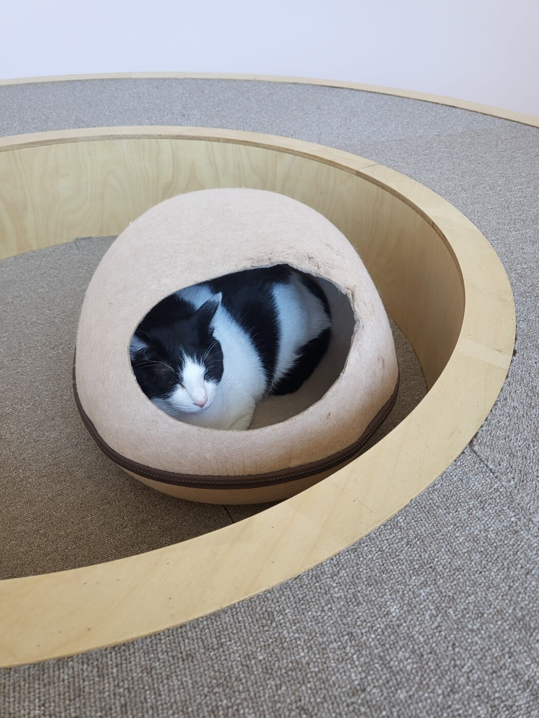 반려동물지원센터 13