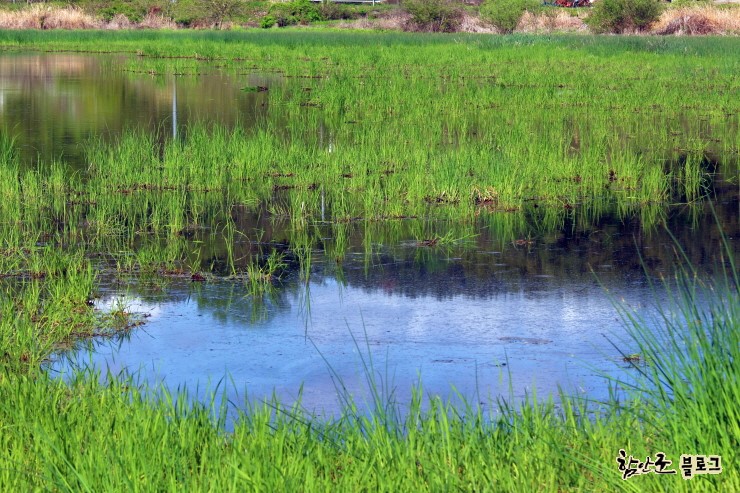 함안 가볼만한곳 베스트10