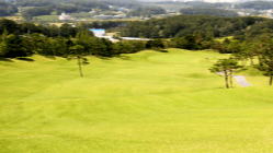 자유 컨트리클럽