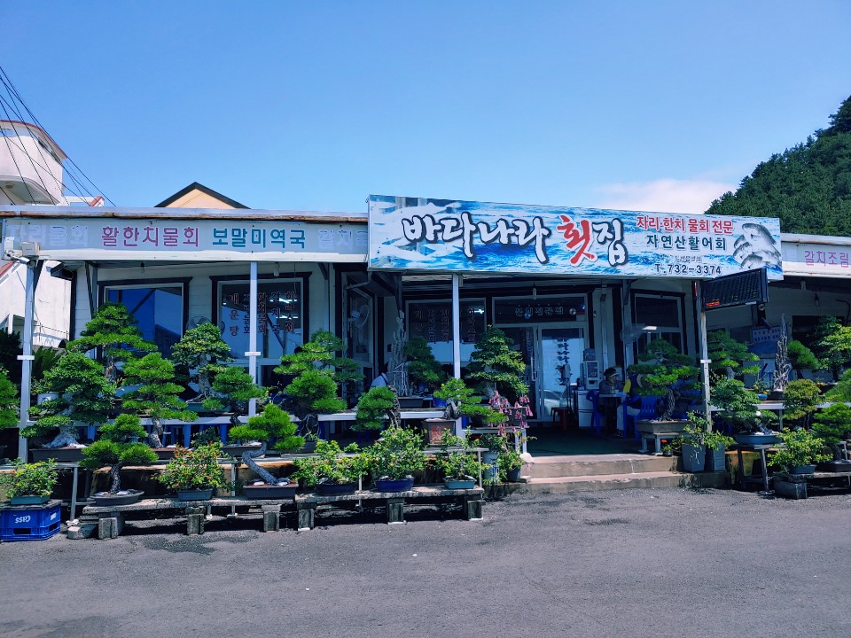 바다나라횟집
